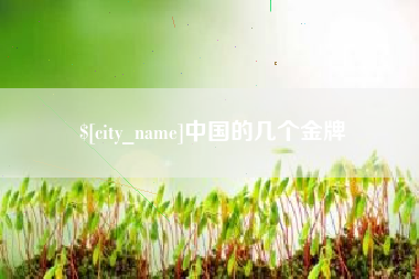 瓦房店中国的几个金牌