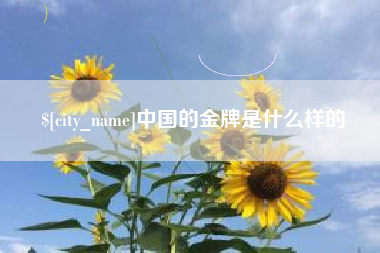 瓦房店中国的金牌是什么样的
