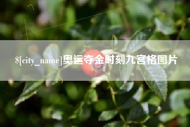 瓦房店奥运夺金时刻九宫格图片