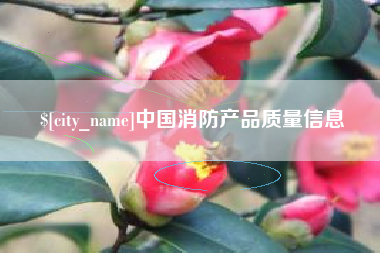 瓦房店中国消防产品质量信息