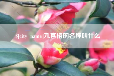 瓦房店九宫格的名称叫什么