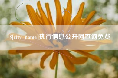 瓦房店执行信息公开网查询免费